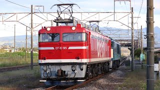 【EF64 1031救援配給】EF81 95+EF64 1031 後閑駅通過