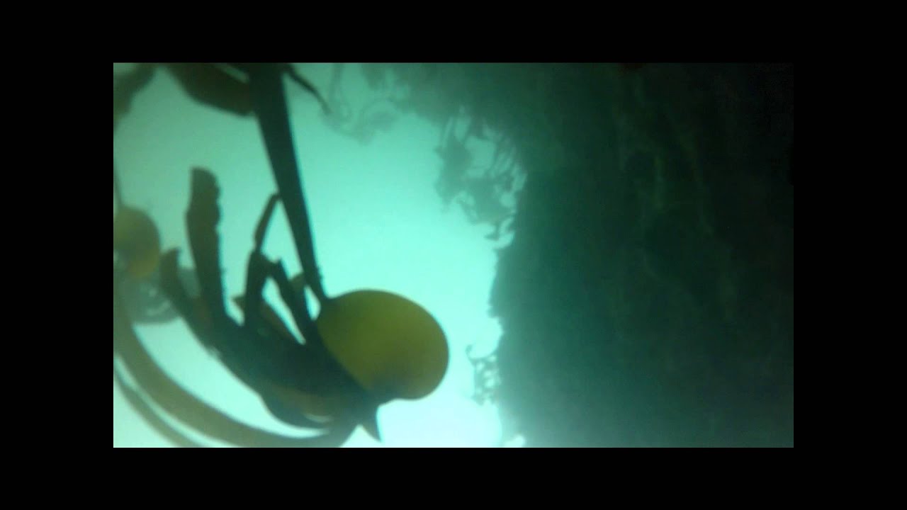 GoPro sinks to the bottom of the ocean.