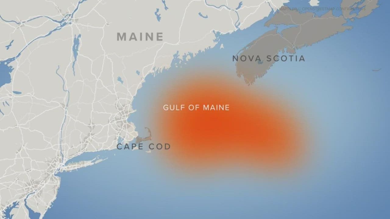 In fall 2021, water in the Gulf of Maine spiked to record warm