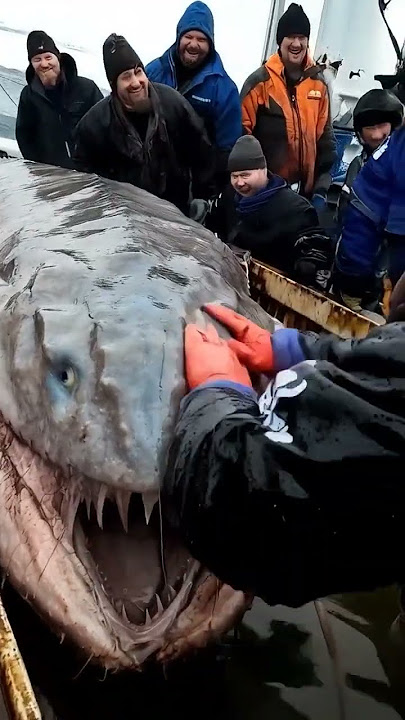 Is the LOCH NESS MONSTER Really Hiding in Our Oceans?