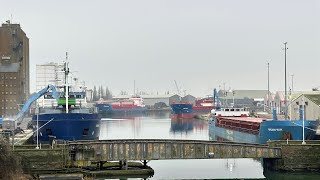 4 #freighters in #Sharpness #Dock #AONB