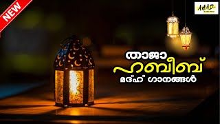 താജാ ഹബീബ് മദ്ഹ് ഗാനങ്ങൾ  | Munawar VK | New Malayalam Madh Song