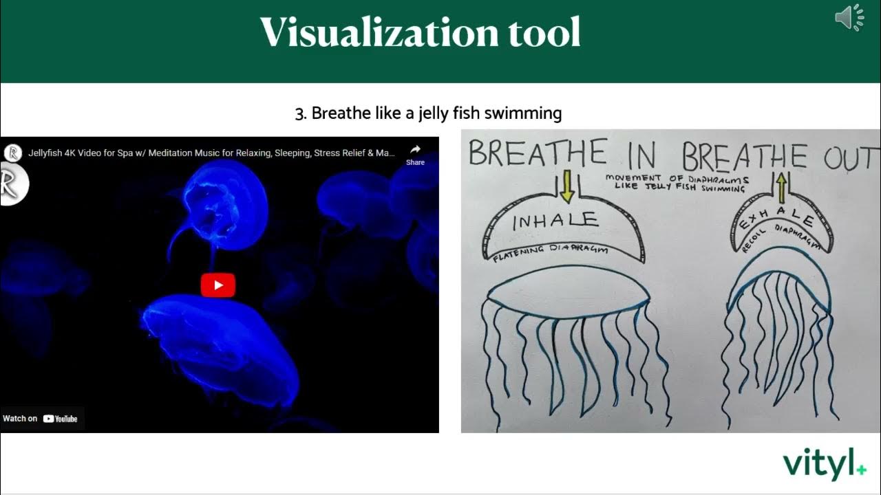 jellyfish breathing YouTube