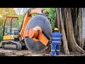 Amazing Fastest Big Forestry Chainsaw Machines - Powerful Logging Vehicles & Chainsaws