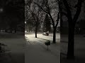 02/16/2026 с плюс 13 в минус 8)и шквальный ветер #usa