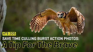 Approaching the Scene 205: Save Time Culling Burst Action Photos: A Tip For The Brave