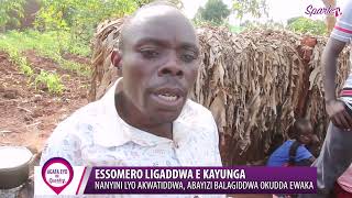 Essomero Ligaddwa E Kayunga: Nannyini Lyo Akwatiddwa, Abayizi Balagiddwa Okudda Ewaka