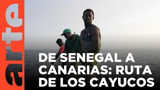 Senegal: el éxodo de los pescadores | ARTE.tv Documentales