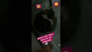 inadına uyumak #cat #comics #shorts #funny #fyp #trending #reels #viral #smile #cute #comedy #video