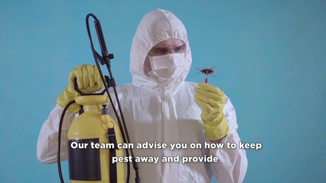 Exterminator | Solution Of All Types Of Pests
