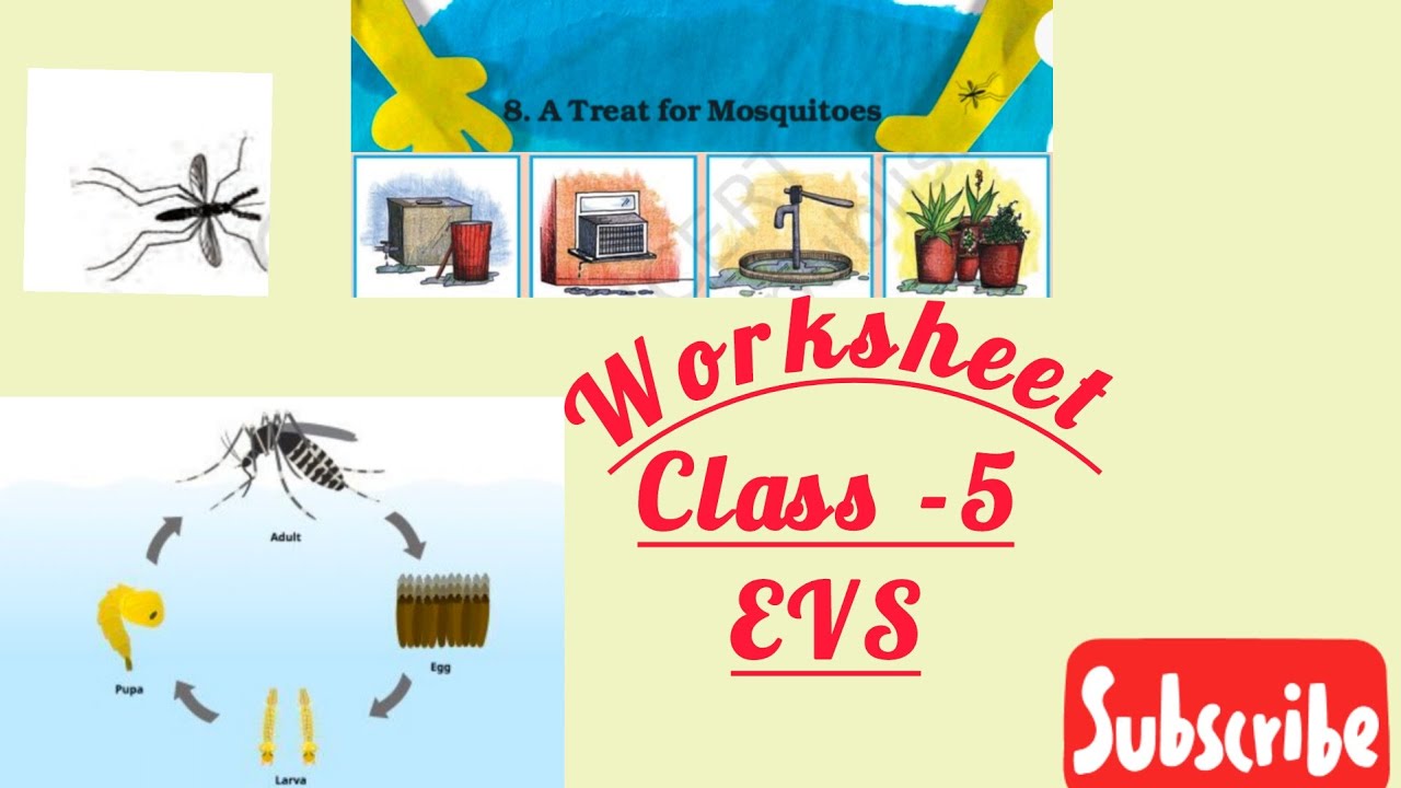 A TREAT FOR MOSQUITOES|EVS |WORKSHEET|CHAPTER -8 - YouTube