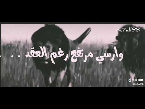الصبر واجب والاسد يبقى اسد ماهمنا كيد المنافك ولاالحسود