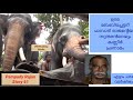 Owner Baby Chettan Pampadi Rajan Sundaran tears prostration Eelphant Story Malayalam VMPradeepMedia