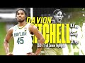 Davion Mitchell Baylor 2020-21 Full Season Highlights | 14 PPG 5.5 APG 51.1 FG%, Naismith DPOY!