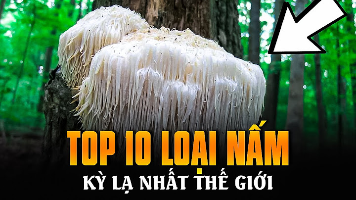 TOP 10 LOẠI NẤM KỲ LẠ NHẤT THẾ GIỚI | TỪ BÀN TAY QUỶ ĐẾN BÃI ÓI CHÓ