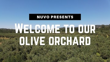 Welcome to Nuvo