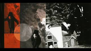 The Nels Cline Singers - Blood Drowning