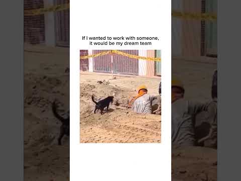 Subscribe for more inspiring content!#doglovers #dreamteam #teamwork