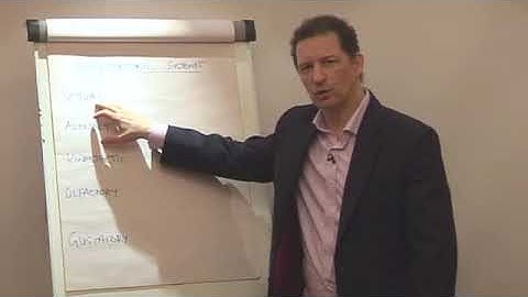 Representational systems