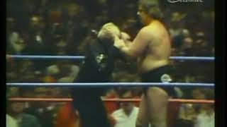 Heenan Bump