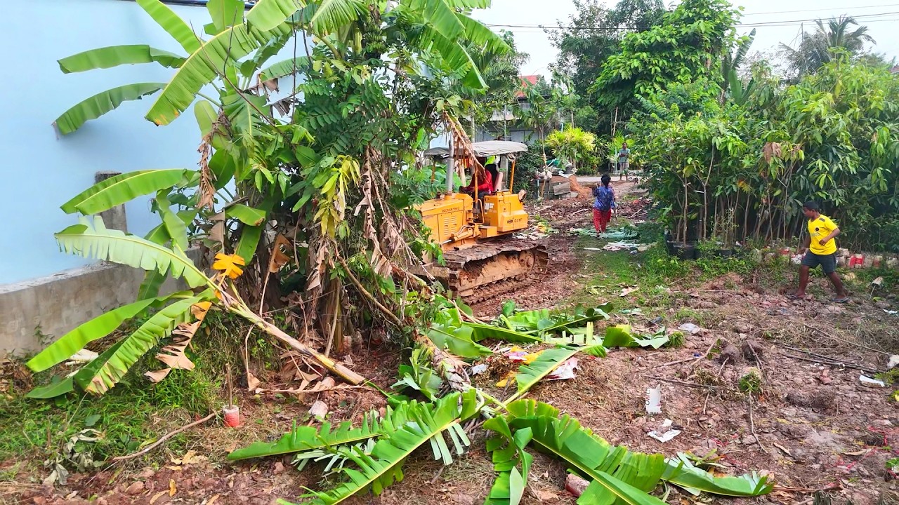 New Project Operator Skills Clearing The Forest To Landfill By Bulldozer D31P Pushing 5T Truck