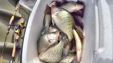 EASY Way To LOAD Your Freezer With Crappie! (Fall Crappie Fishing)