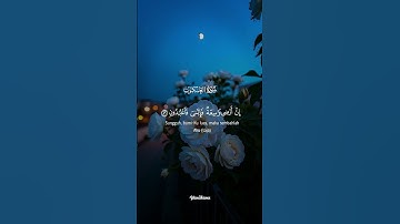 قرآن بصوت يخشع القلب ♥️#قرآن#تلاوة#تلاوة_خاشعة#قرآن_كريم#القرآن#صوت_يشرح_الصدر#خشوع#راحة_نفسية
