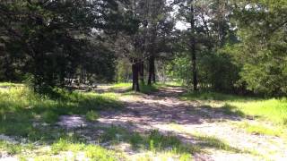 Sure Shot Exploding Targets using .22 Long Rifles..MOV