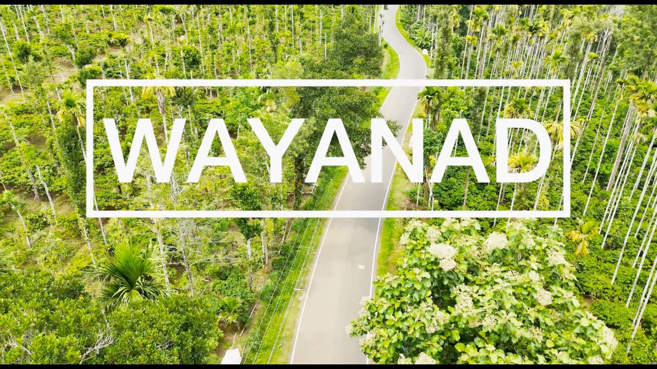 Bangalore to Wayanad | Wayanad | EP 01 | Wayanad Wildlife Sanctuary | Road Trip | Scenic Drive