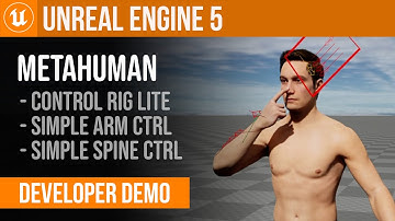 Simple Arm and Spine | MetaHuman Control Rig Lite