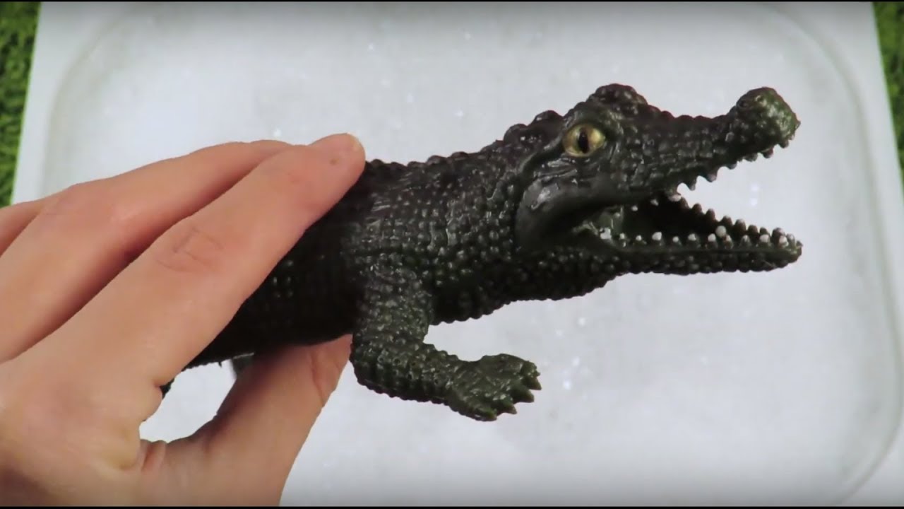 Learn Sea Characters Toys with Full Pool of Surprise Toys For Kids ...