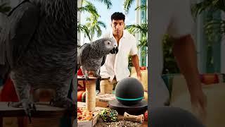 Parrot CAUGHT Hacking Smart Home Voice Assistant 🦜😱 #Shorts #funny #animals #smartparrot
