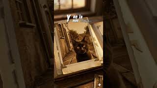 Capitulo 3: Fotos #gatos #fotos #CapCut