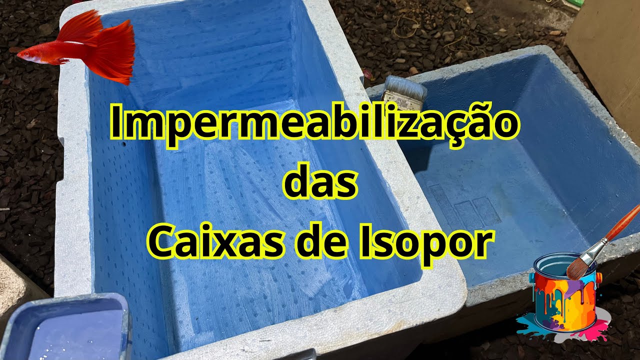 COMO FAÇO A IMPERMEABILIZAÇÃO DAS CAIXAS DE EPS PARA OS GUPPYS