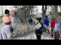 FULL VIDEO Close up Amazing Video Truck transports 900,000 ducks to new rural area Duck egg market