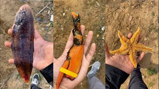 Membeli dan memasak seafood - (tik tok china) part 3