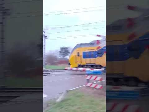 Arriva en NS treinen komen tegelijk in Roermond
