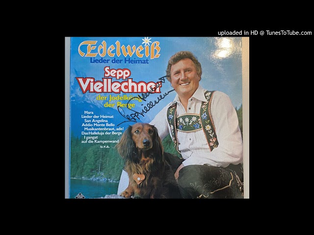 Sepp Viellechner - Klingende Heimat