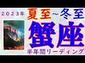 蟹座♋️夏至から冬至までの半年間リーディング💫二重の喜び🌈🌈起死回生のチャンス到来❗️