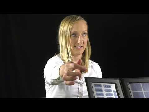 Randot Stereotest Test