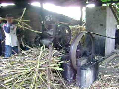 diesel cologne Making Brown Sugar Lister Engine Diesel