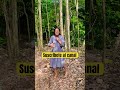 Muy fuerte habla esta mujer de Dios #shortvideo #mundo #love #paz #fe #viral #cristo #biblia #amor
