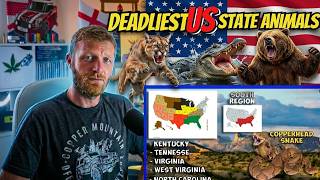 British Guy Reacts To The Most Dangerous Animal in Each US State