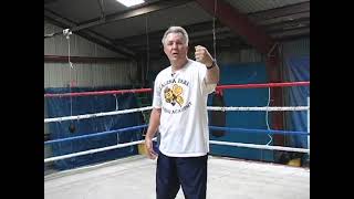 Kenny Weldon - Becoming A Better Boxer Vol.2