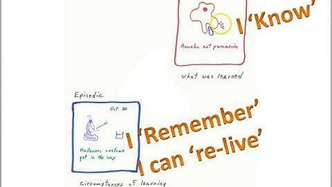 Memory: Episodic and Semantic memory