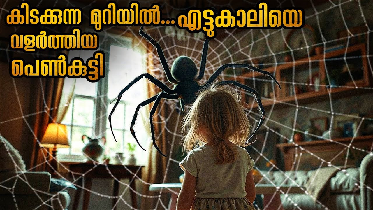 ആകാശത്തിൽ നിന്നും വീണ എട്ടുകാലി | പെൺകുട്ടി വളർത്തിയത് രക്തം കുടിക്കുന്നത് എട്ടുകാലിയെ