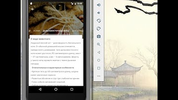 Barnaul zoopark under development