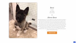 Chicago woman spots online pet scam posing as a Tulsa breeder