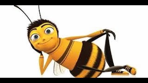 Reading the whole bee movie script
