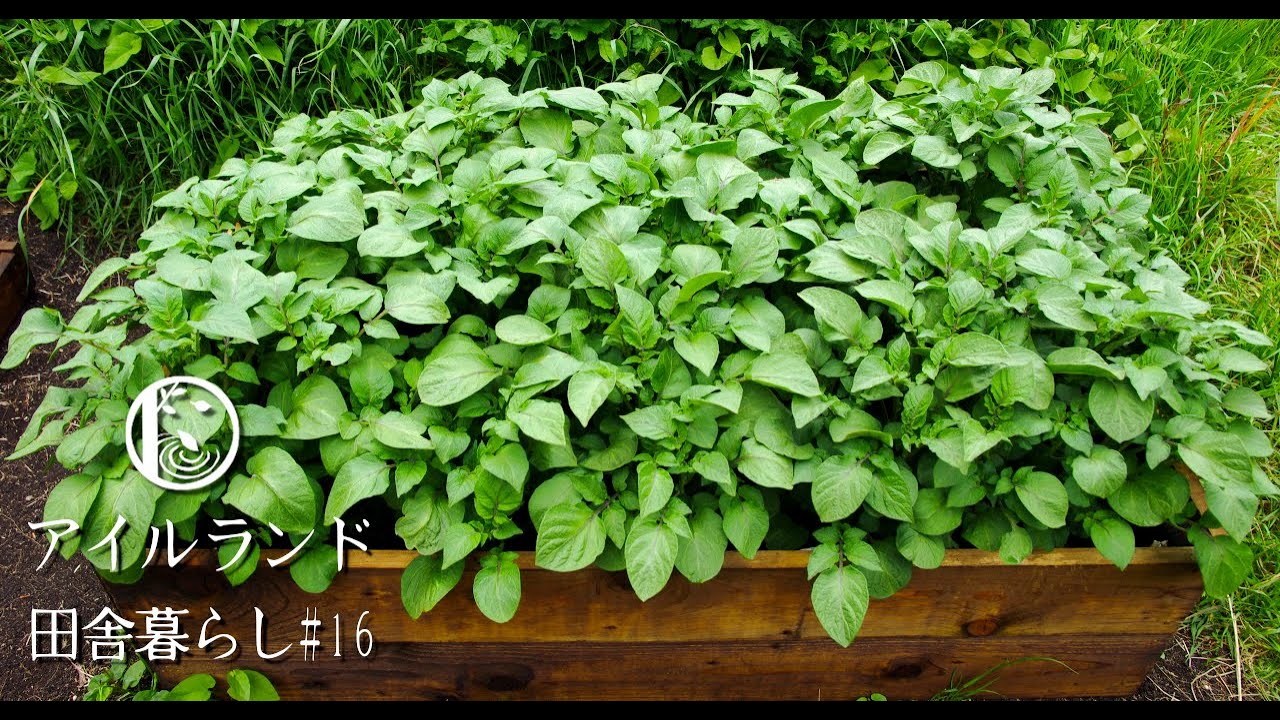 プロが教えるレイズドベッドの作り方 家庭菜園 Diyで枠を作る 半自給自足してみた Youtube